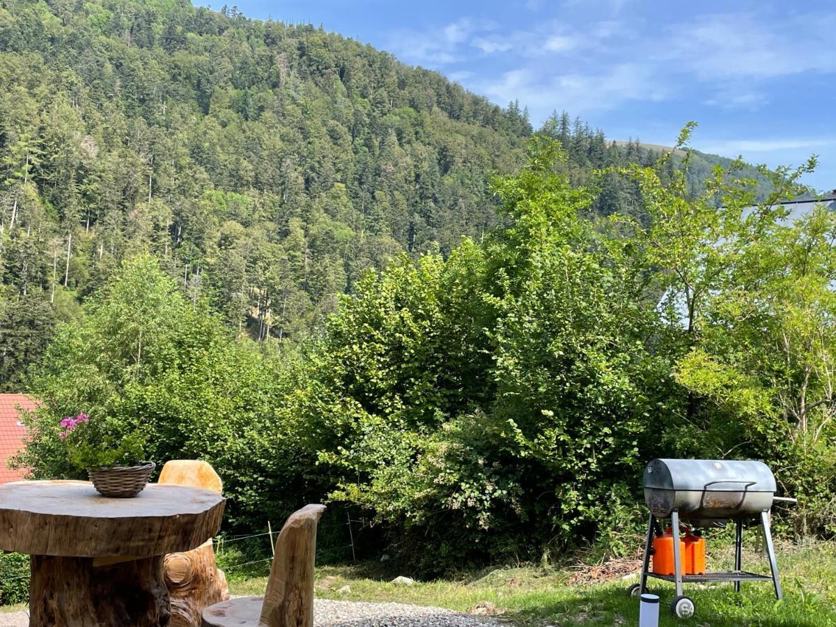 Le Chalet Du Coeur Mittlach 외부 사진